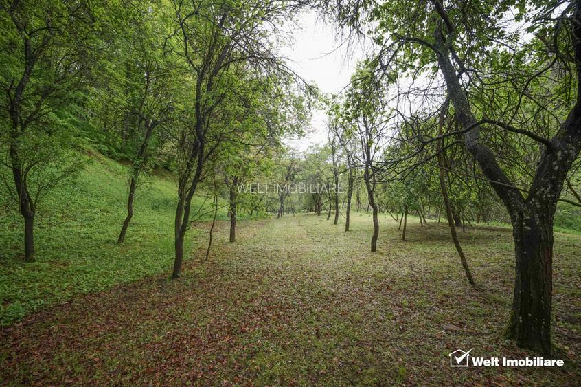 Casă 2010 + teren 4891 mp cu PĂDURE și PÂRÂU | 15 km Cluj | Gaz+Apă+Curent+Canal - 3