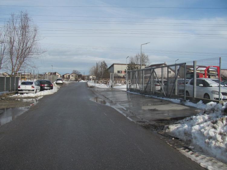 Clinceni - Olteni, Fortului, Stradal 5180 mp - 9