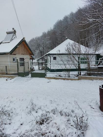 Casa, teren si padure de vanzare-40.000 mp, direct proprietar in Apuseni. - 6