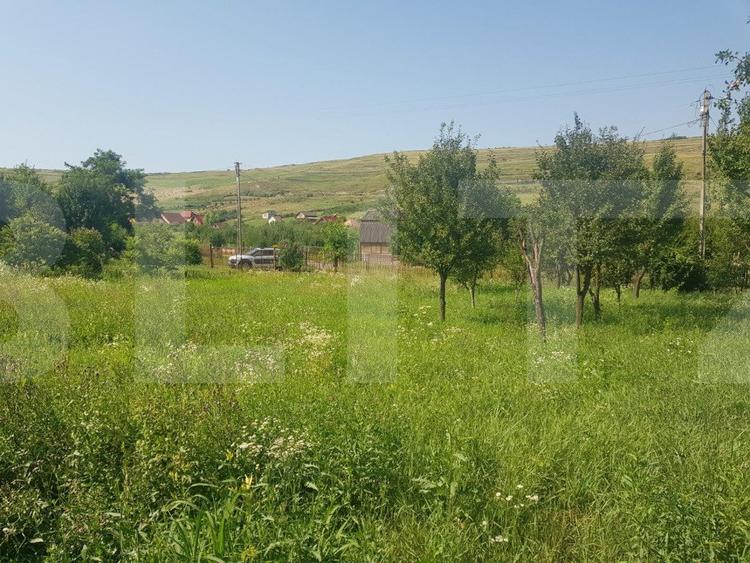 Teren intravilan Campenesti, 11600 mp, 43 ml front, pentru ansamblu de case!