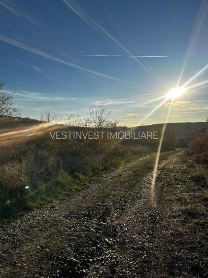 Teren intravilan langa lacul Hanul Pescarilor - 2