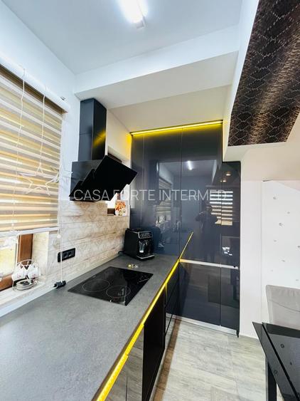 VILĂ TIP DUPLEX – PALAZU MARE VEDERE LA LAC 245000 € - 17