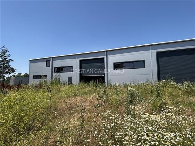 Inchiriere depozit/hala/spatiu industrial Chitila - Oxigenului, ILFOV - 4