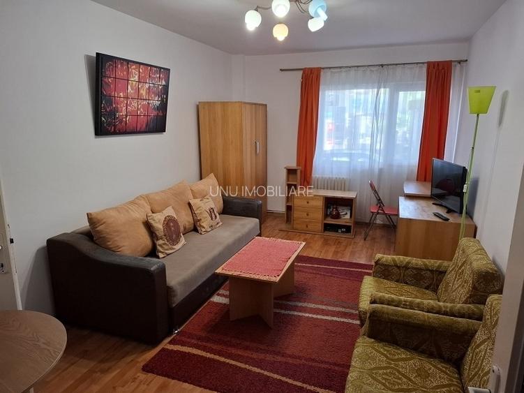Apartament cu 2 camere - zona Piata Unirii - Stef - 7
