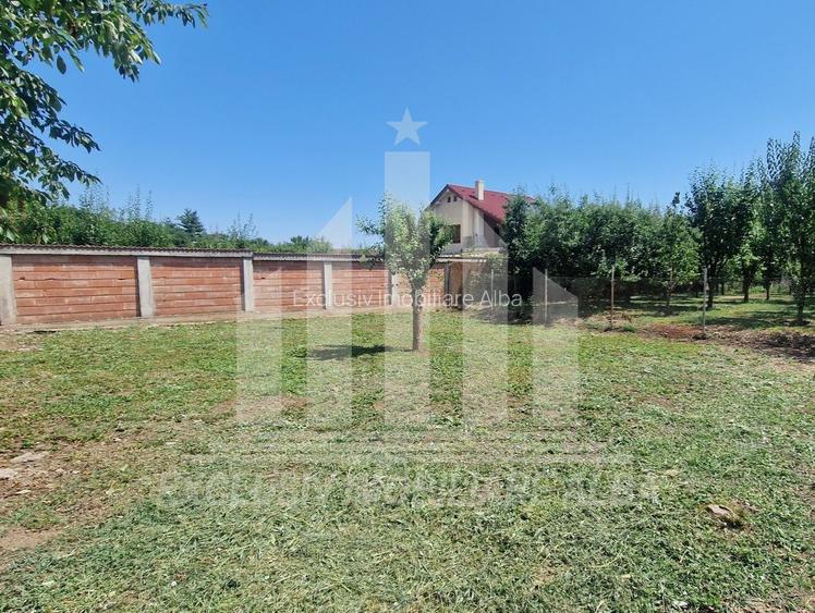 Casa individuala | De inchiriat | 320 mp | 750 mp teren | Cetate - 20