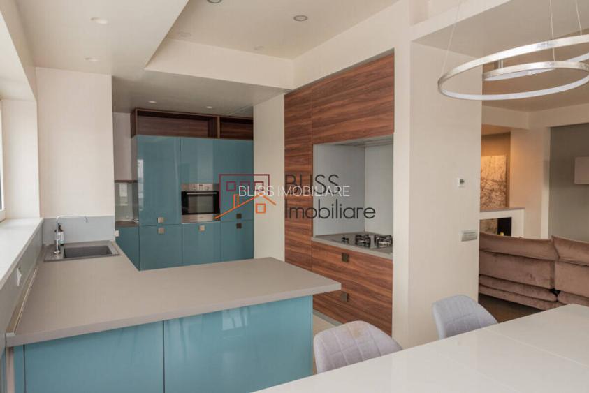 Apartament 4 camere în zona Iancu Nicolae - 11