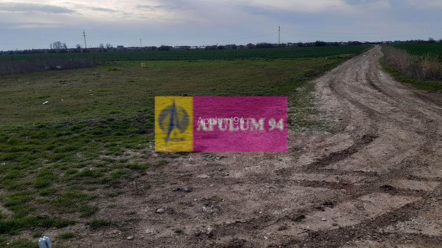 Parcelă lângă pădure în Ilfov - 8