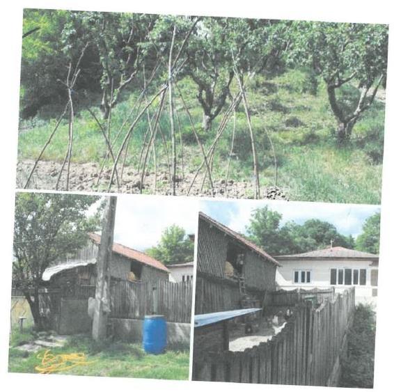 Casa + teren de vanzare in Sat Sindrilari, Com. Reghiu, Jud. Vrancea - 2