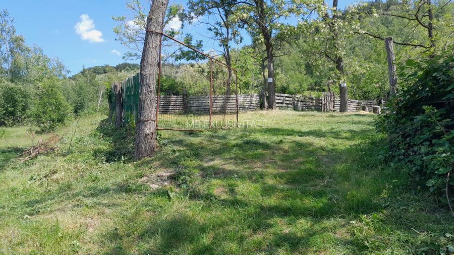 Teren extravilan de vânzare – Stănești, 3.861 mp, livadă de cireși - 12