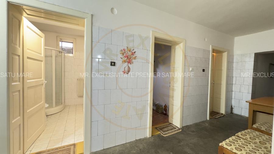 Casa 7 camere cu Teren 4.620 mp | Potential pentru rezidenta sau afacere | Carei - 15
