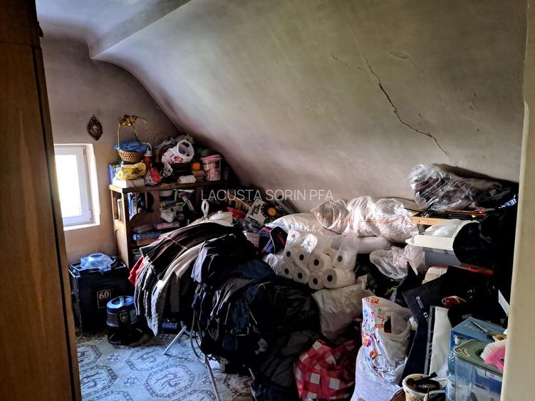 Cotroceni-Parcul Romniceanu, singur curte, garaj, curte generoasa - 7