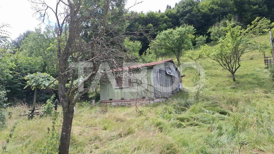 Teren 2500 mp Curmatura Rasinari 40 m deschidere la drum asfaltat - 4