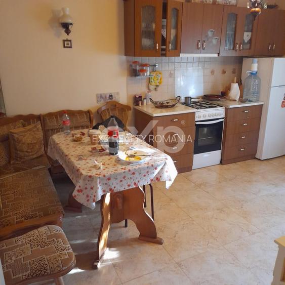 Casă la țară complet mobilată, 5.500 mp teren – Toplița, Mălureni, Argeș - 17