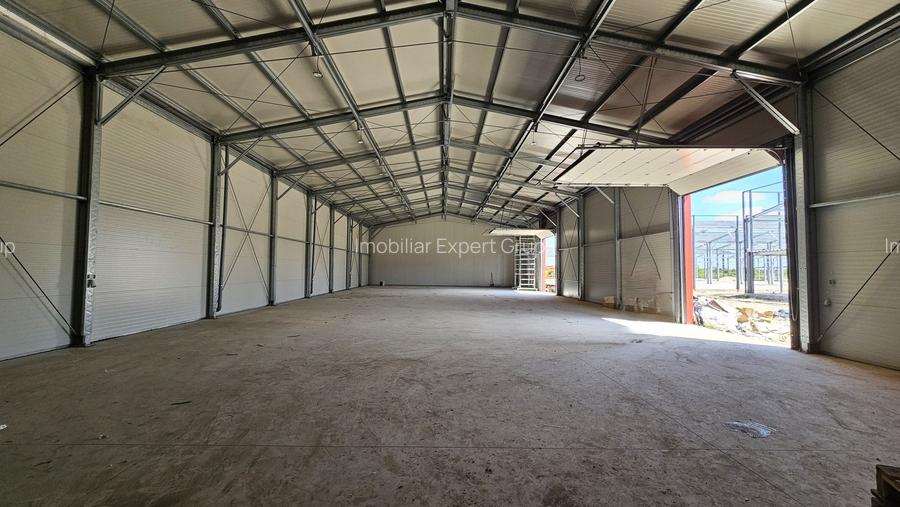 Hale noi in zona industriala Progresul, Jilava - 6