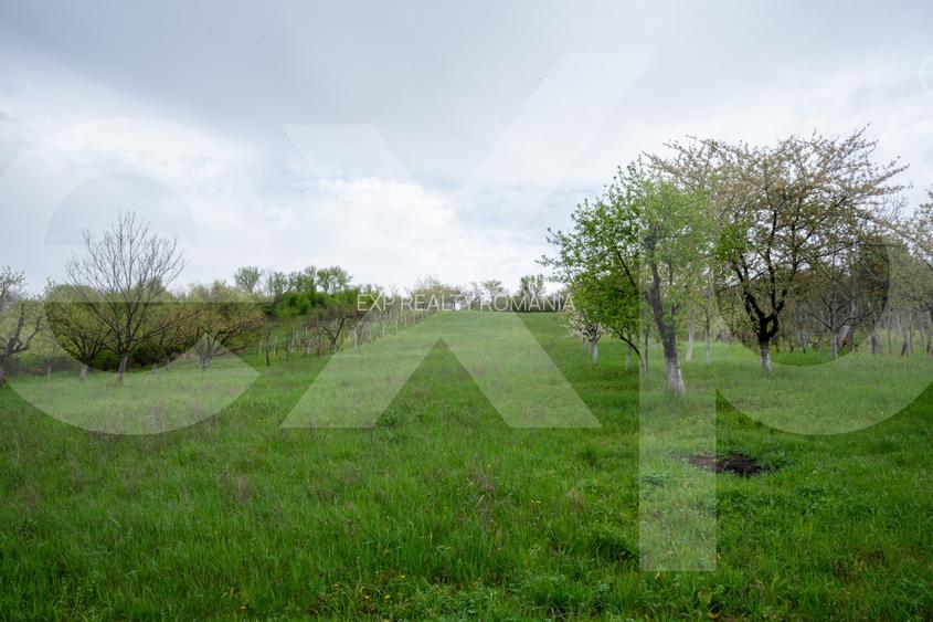 Proprietate unică, în zonă verde și liniștita - 10