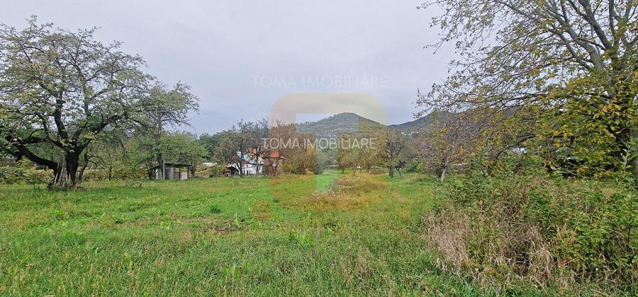 Teren intravilan de vânzare – 1.350 mp – Comuna Alexandru cel Bun - 11