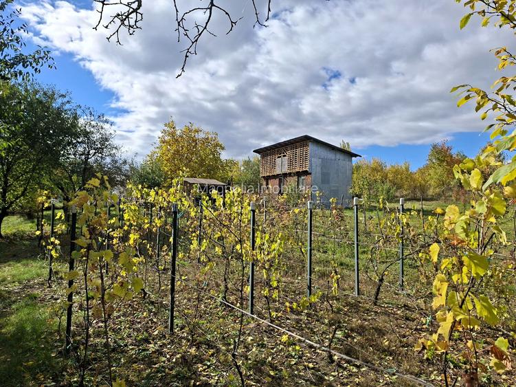 Priveliste de vis, 5 camere + anexe, teren 7000 mp, gata de mutat - comision 0%! - 9