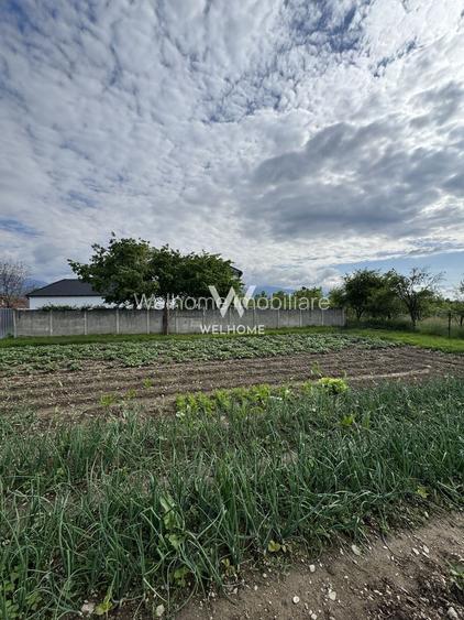 Casa individuala in Arpasu de Sus, teren mare, partial renovata - 24