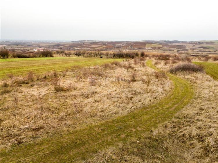 RECO Teren intravilan in Paleu - 3