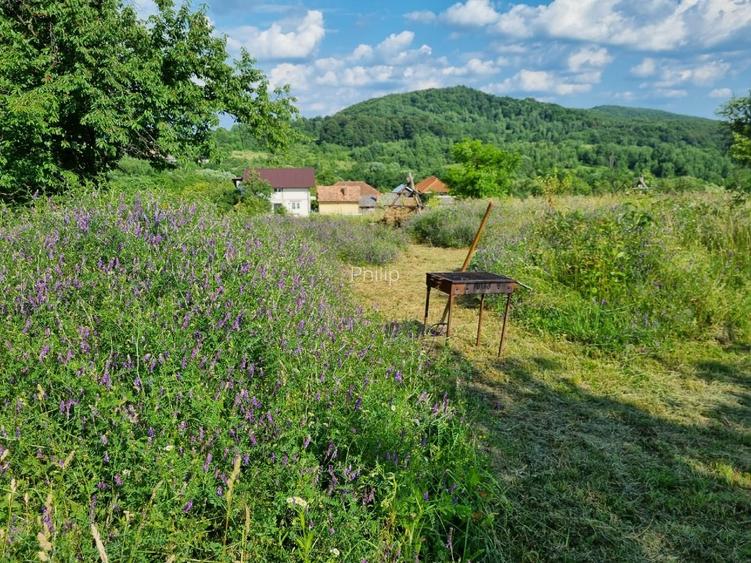 Casa traditionala intr-o zona de vis pe langa Curtea de Arges  - 13