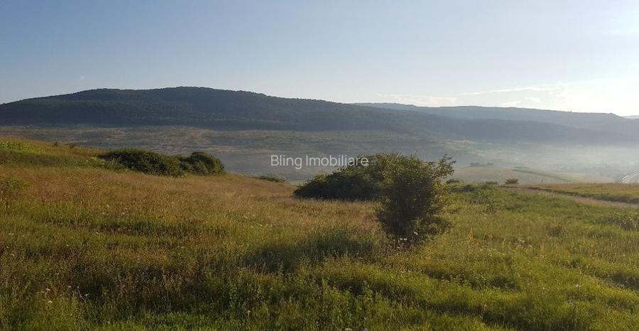 Teren intravilan 1000 mp, cu PUZ, zona platoului Radaia - 2