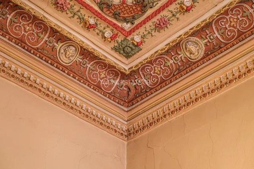 Vila istorica de patrimoniu - 160 mp/teren 262 mp - 19