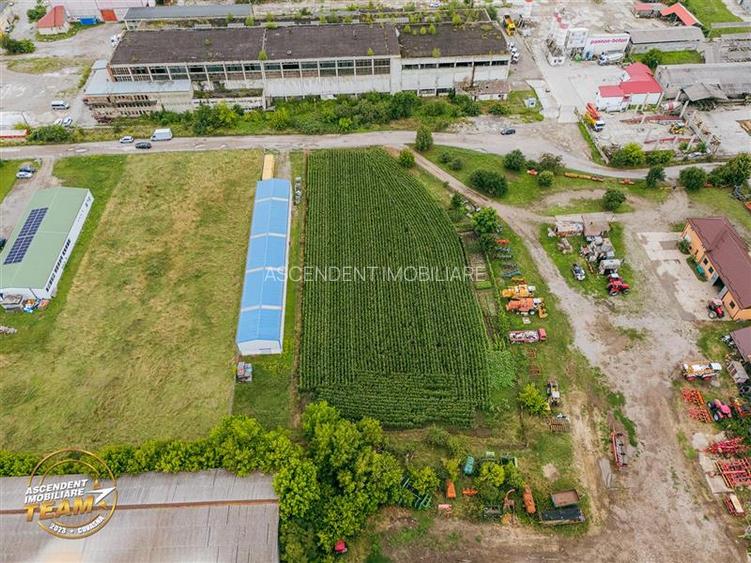 FILM! 4.600mp,aria industriala,utilitati aproape:hala,depozit,service auto - 5