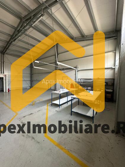 Hala Industrială Malu Rosu Ploiesti 550 mp + Birouri | Parcare 20 | Acces TIR | - 12