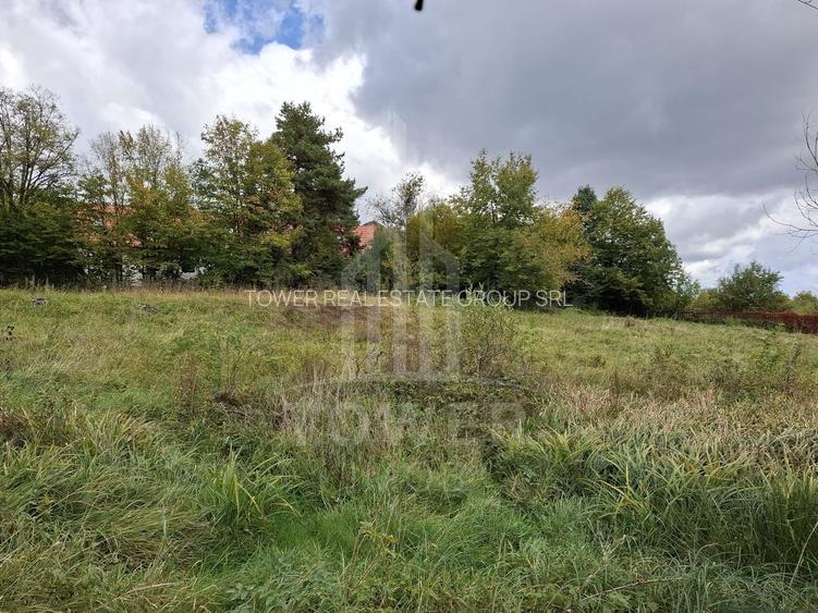 Teren intravilan cu Puz si priveliște deosebită, spre Cetatea Cisnădioara - 8