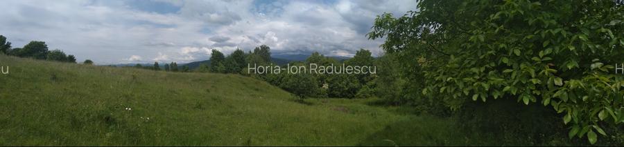 Teren intravilan de vanzare, pret usor negociabil - 5