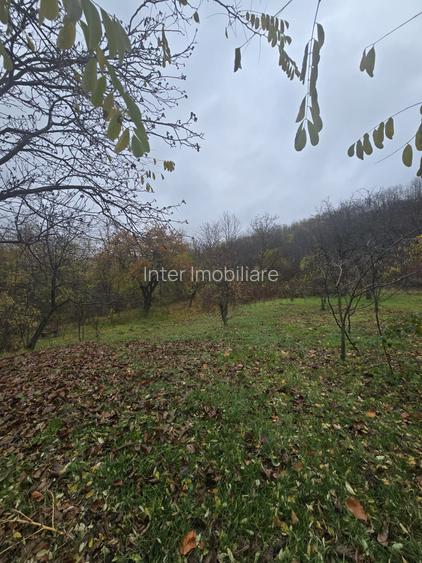 Teren intravilan Tomesti - 2