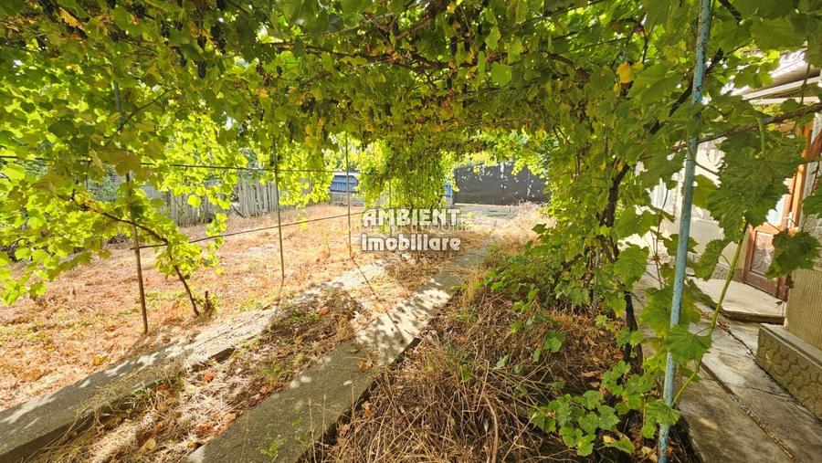 CASA cu anexe și garaj, teren 1.200 mp, zona MOARA GRECILOR; - 8