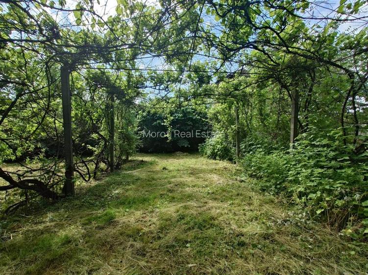 Casa, anexe si teren amplasate central in municipiul Brad - 10