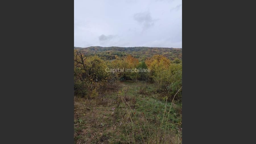 Vanzare sau Schimb! Central Drajna de Jos 5000 mp - 8