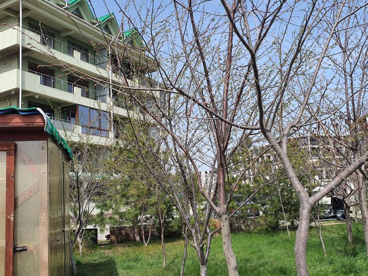 Mamaia Sat-malul lacului, apartament 2 camere,70mp, mobilat,utilat, parcare - 40