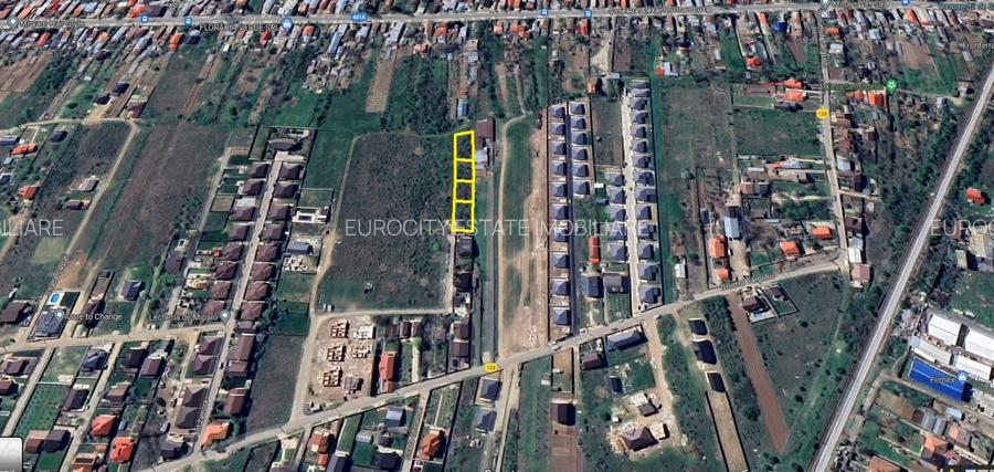 Domnesti - Ciutaci, vanzare 4 loturi de teren intravilan - 6