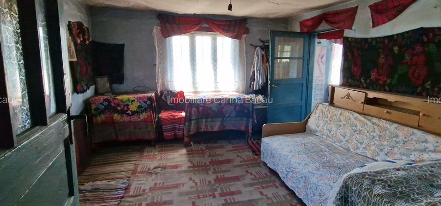 Casa+teren 1.626 mp loc Zapodia- Traian-40 m deschidere la strada - 5