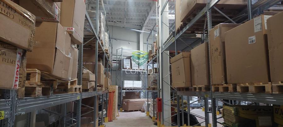 Ready to move in I HALA depozitare si birouri I MOGOSOAIA - 9