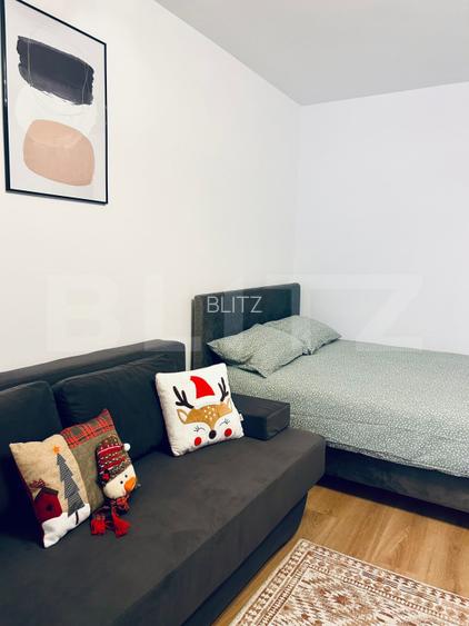 Garsoniera renovata si mobilata-utilata, 31 mp, Brazda lui Novac - 5