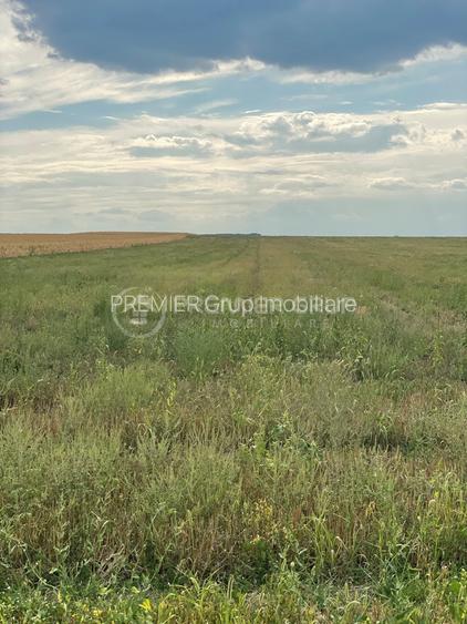 Teren extravilan 7.200mp, Bogdanesti-Horlesti, deschidere la 2 drumuri - 4