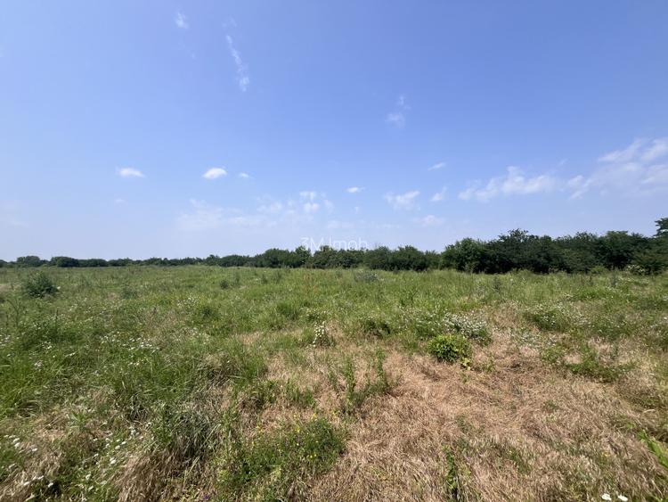 Teren De Vanzare - Oportunitate Investitie - Pretabil Hale/Cartier Rezidential - 4