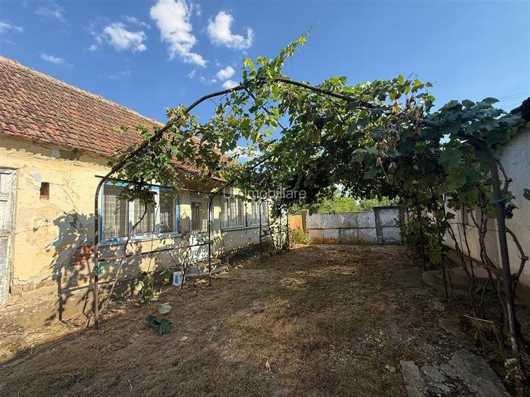 CASA CU TEREN 1500 MP | CHERESIG - 6