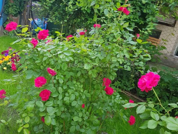 Vila cu arhitectura si intimitate Cismigiu - 3