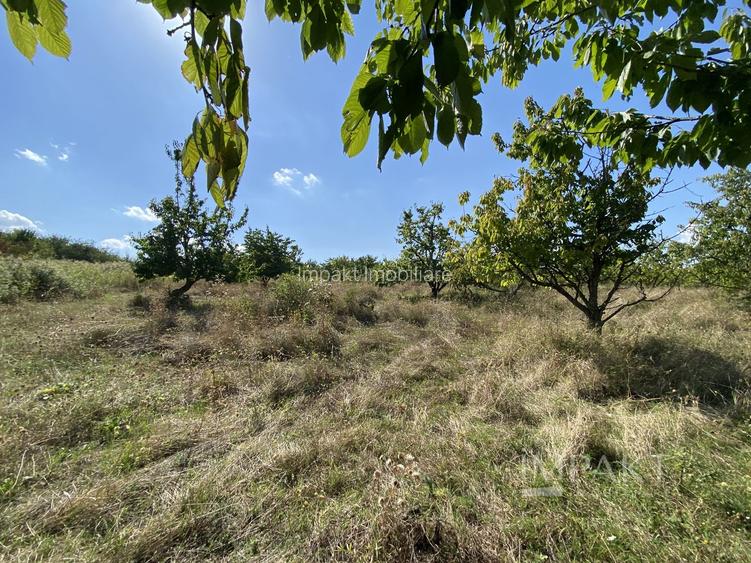 Teren 802 m2 Faget cu PUZ aprobat - 2