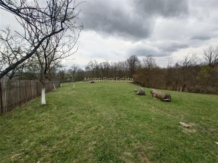 10 000 mp teren intravilan cu priveliste - 18