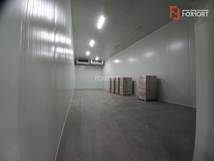 Hala industriala 572 mp, teren 1.615 mp - Zona Sud Timisoara - 7