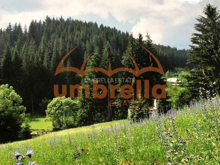 TEREN DE VANZARE 34.201m²/20€ m² IN VARSAG HARGHITA - 2