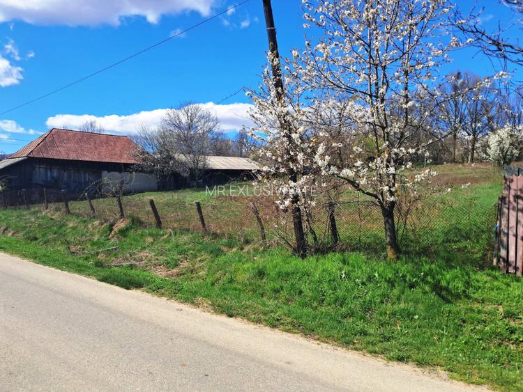 TEREN INTRAVILAN ȘI EXTRAVILAN POLOVRAGI - 8