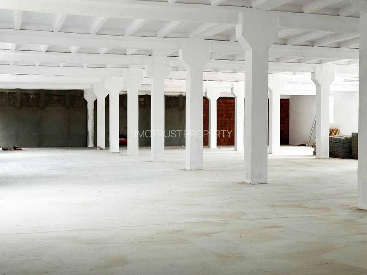 DE ÎNCHIRIAT: Hală industriala 1.000 mp Arad – etaj, acces auto și TIR - 2