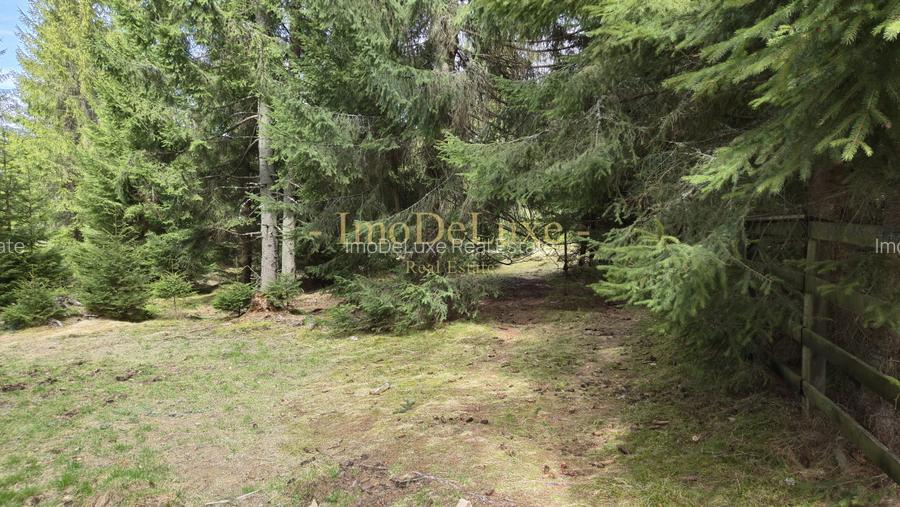 Terenuri cu PUZ, 700 - 1000+ mp, in Marisel, la 400 m de partia de Ski - 9